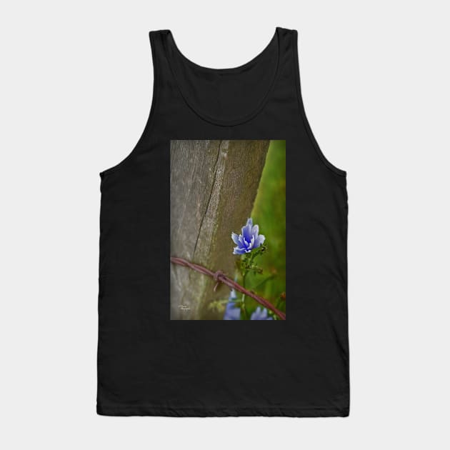 cornflower blue 'n' barb Tank Top by ncmckinney